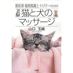 �b��t�E�����Ō�m�E�g���}�[�̂��߂̔L�ƌ��̃}�b�T�[�W