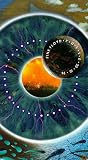  Pink Floyd  Pulse