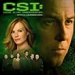 Official "CSI" Calendar 2008 2008