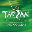 Tarzan: The Broadway Musical