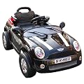 �d����p�����W�R�� �~�j�J�[ �~�j�N�[�p�[�^�C�v RAT-001�u���b�N�iRA-001-S1�j