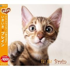 �y���N���z�������� �u���C��