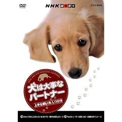 NHK��I�X ���͑厖�ȃp�[�g�i�[ ���Ȏ������A������ [DVD]