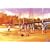 CLANNAD AFTER STORY 1 (��������) [DVD]