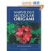 Marvelous Modular Origami
