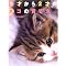 �l�R(�C�k)�D���Ȏ����ǂ񂾖{�i�P�j