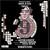 Nine [Original Cast Album]