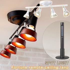 ARTWORKSTUDIO�@Fortune remote-ceiling lamp�@�u���E��/�u���b�N [AW-0309]�@�t�H�[�`���� �����[�g �V�[�����O�����v