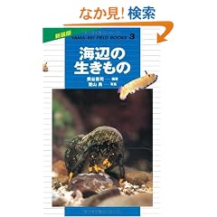 �C�ӂ̐������� (�R�k�t�B�[���h�u�b�N�X)