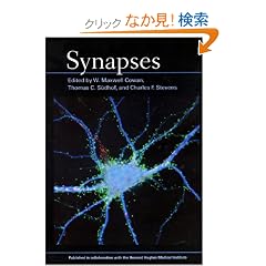 Synapses