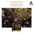 ���R����i - �X�̚��� (The Sound of Nature - Waldesrauschen / Whispering Forest)