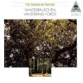 ���R����i - �X�̚��� (The Sound of Nature - Waldesrauschen / Whispering Forest)