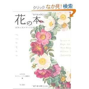 �Ԃ̖{�@�{�^�j�J���A�[�g�̒�