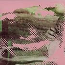 Fluorescent Grey Ep