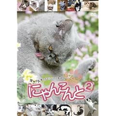 �ɂ�񂱂��2~�L���b�g�����I���V���˂����� �z���g�͂���Ȃ��ƌ����Ă��肵��~ [DVD]