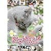 �ɂ�񂱂��2~�L���b�g�����I���V���˂����� �z���g�͂���Ȃ��ƌ����Ă��肵��~ [DVD]
