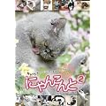 �ɂ�񂱂��2~�L���b�g�����I���V���˂����� �z���g�͂���Ȃ��ƌ����Ă��肵��~ [DVD]