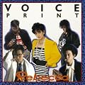 VOICE PRINT