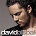 David Bisbal (Anthology)
