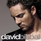 David Bisbal (Anthology)