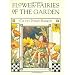 Flower Fairies of the Garden (Serendipity Books)