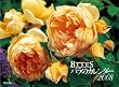 BISES�o���̃J�����_�[2008 (�m�J�����_�[�n)