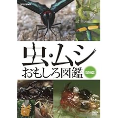 【クリックで詳細表示】Amazon.co.jp ｜ 虫・ムシ おもしろ図鑑 セット [DVD] DVD・ブルーレイ - 虫