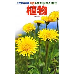 �A�� (���w�ق̐}�� NEO�|�P�b�g)
