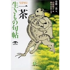 �ʐ^��s �ꒃ�������̋咟 (���w�ٕ���)