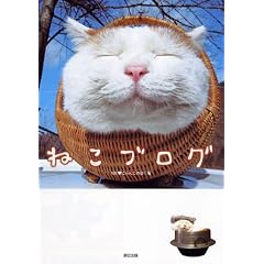 �˂��u���O