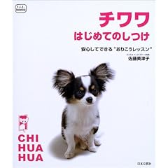 �`�����͂��߂Ă̂����\���S���Ăł���g���肱�����b�X���h (f.i.t.books)