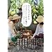 �������łł���V���^�C�i�[�̎q���:�u���̎q�炵���v����Ă�0~7�΂̕�炵�Ƃ�����