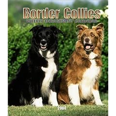 Border Collies Weekly 2004 Calendar