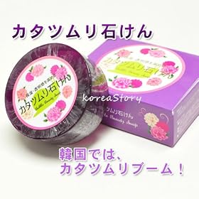 �R���A�X�g�[���[�y�J�^�c���������z�y�؍��R�X���z�X�L���P�A�E�J�^�c�����΂���E�ێ��E�����������߂�I
