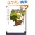 ��l�ᑐ���� (�p�앶��)