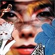 Visionaire 36 Power