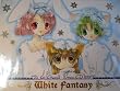 �f�E�W�E�L�����b�g �N���X�}�XCD2001 White Fantasy