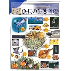 ��������@���E�L�̐��Ԑ}�� (�厩�R�̂ӂ���)