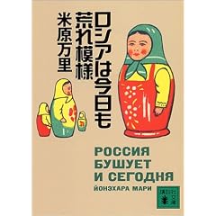 ���V�A�͍������r��͗l (�u�k�Е���)