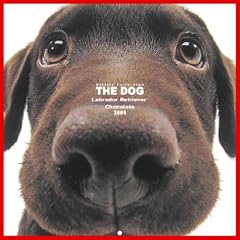 Artlist Collection The Dog 2005 Calendar: Labrador Retriever, Chocolate