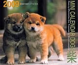 [Book]小野智光 2009ミニカレンダードッグズ柴