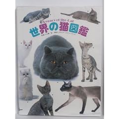 ���E�̔L�}��