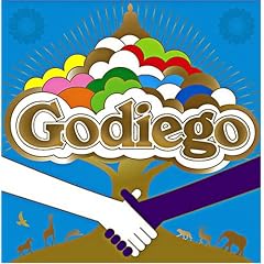 GODIEGO BOX
