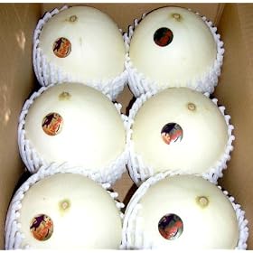 ���m�Y�@�z�[�������X�^�[������L�T�C�Y�@6����