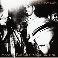 Manual for Successful Rioting