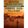 Sunrise Over Fallujah