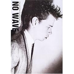 NO WAVE�\�W�F�[���X�E�`�����X�ƃ|�X�gNY�p���N
