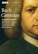 Cantatas Bwv 179 199 & 113 [DVD] [Import]