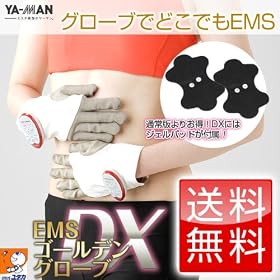 �y���[�}�����K�̔��X�z EMS�S�[���f���O���[�u DX �i�f���b�N�X�j