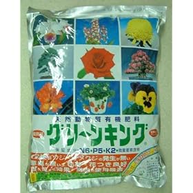 �L�@�엿�@�O���[���L���O�@�T�j�f